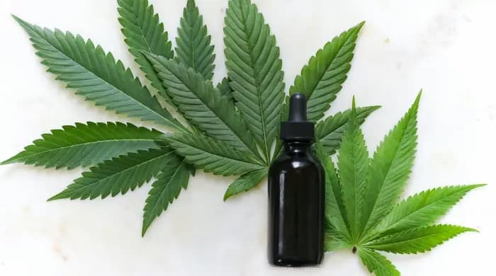 Difference between CBD and THC